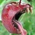 :icondevil-reaper: