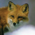 :icondevilishred: