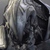 :icondevilman012: