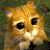 :icondevilmouse: