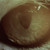 :icondevilsblackfeather: