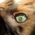 devilschild34 :icondevilschild34: