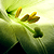 :icondevious-seraph: