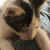 :icondeviousmile: