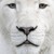 :icondeviraf: