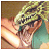 :icondevithemaniac: