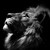 :icondevlyn66623: