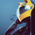 :icondevondonahue: