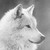 :icondevonterhythm: