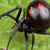 :iconDevophobia: