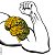 :icondevstage: