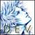 :icondevsunrider: