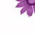 :icondewdrop-dreamz:
