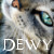:icondewfeather: