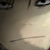 :icondeylen: