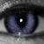 :icondeyuletzstock:
