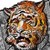 :icondezartmotion: