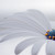 :icondezynwoltura-1: