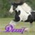 :icondezzi7: