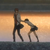 :icondezzlow: