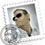 :icondf-design: