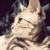 :icondfoxu: