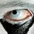 :icondfreschthejuggalo: