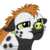 :icondgchannel: