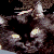 :icondgnofdarkness:
