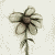 :icondgtldesigner: