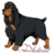 :icondhaktreal:
