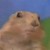 :icondhannymaister: