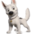 :icondharm11: