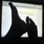 :icondhivehin: