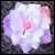 :icondhix: