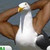 :icondhombie: