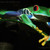 :icondhunter48951: