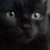 diabolikblueangel :icondiabolikblueangel: