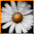 :icondiadesigns: