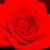 :icondialuna331: