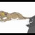 :icondiamond-dingo: