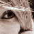 :icondiamonddivine: