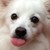 DiamondDog777 :icondiamonddog777: