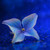diamondriri :icondiamondriri: