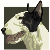 :iconDianaArtimis: