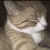 :icondianadelicious: