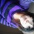 :icondianafreak: