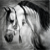 :icondiaphanous13: