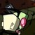 :icondibraepzimmyplz: