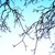 :icondice-and-dreams: